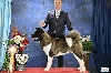  - WORLD DOG SHOW Moscow