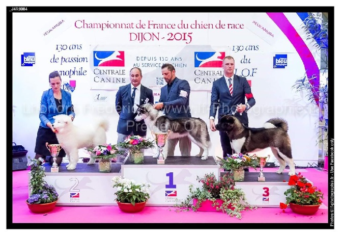 Angels Of Paradise - 3rd BIS Puppy Championnat de France 2015